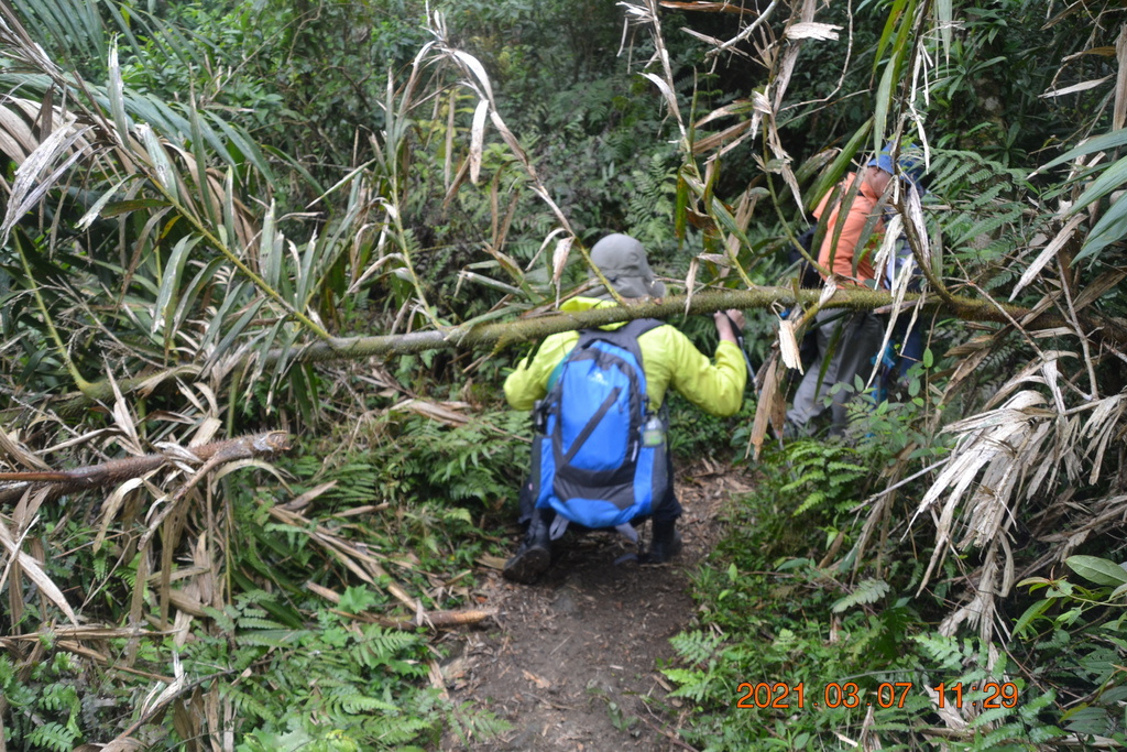 DSC_0649.JPG DSC_0649.JPG
