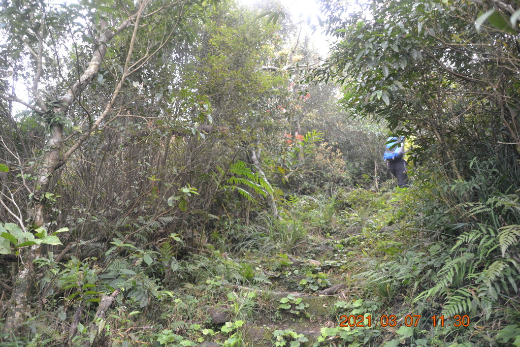DSC_0651.JPG DSC_0651.JPG
