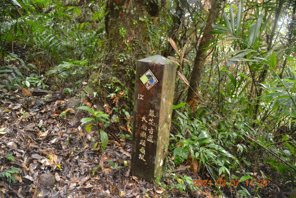 DSC_0648.JPG DSC_0648.JPG
