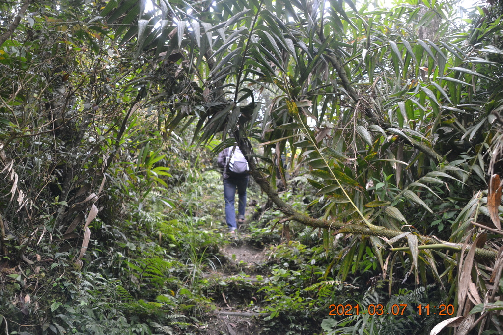 DSC_0647.JPG DSC_0647.JPG