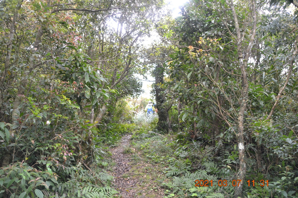 DSC_0652.JPG DSC_0652.JPG