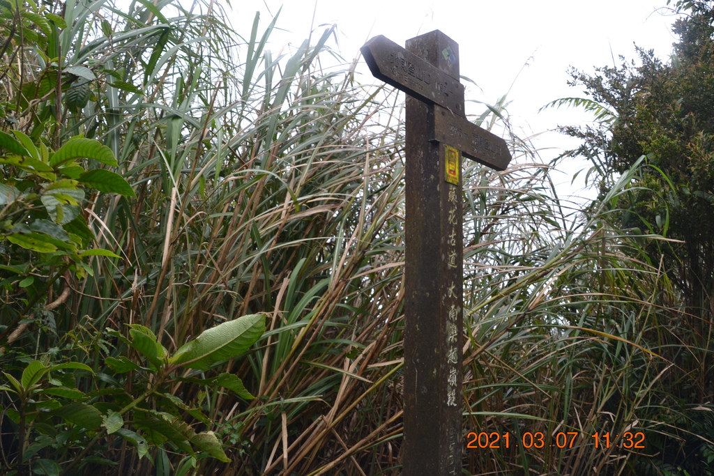 DSC_0653.JPG DSC_0653.JPG