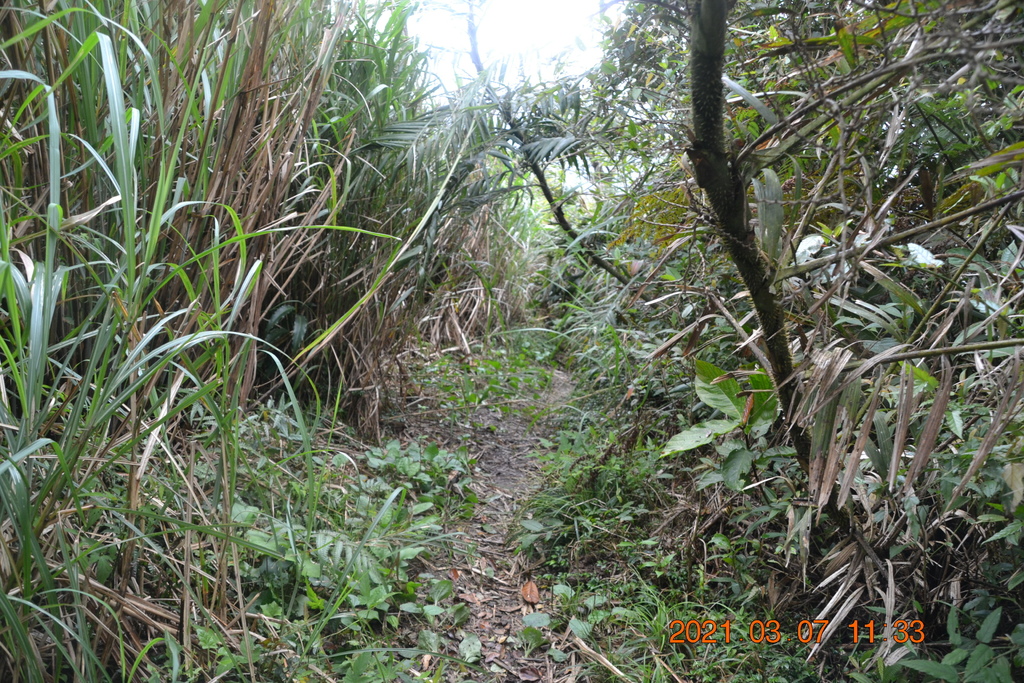 DSC_0656.JPG DSC_0656.JPG
