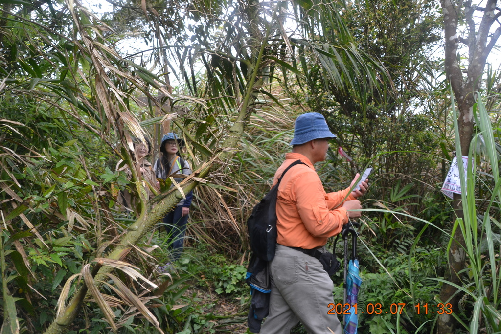 DSC_0657.JPG DSC_0657.JPG