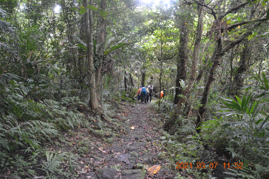 DSC_0660.JPG DSC_0660.JPG