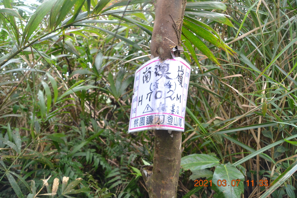 DSC_0655.JPG DSC_0655.JPG