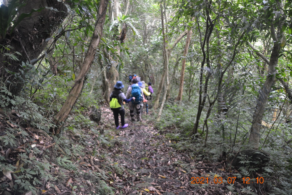 DSC_0662.JPG DSC_0662.JPG