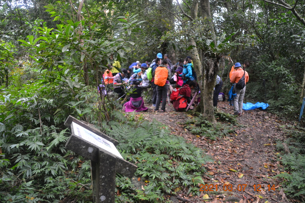 DSC_0663.JPG DSC_0663.JPG