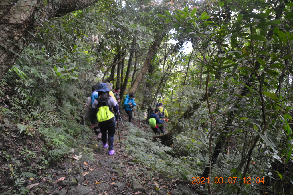 DSC_0661.JPG DSC_0661.JPG