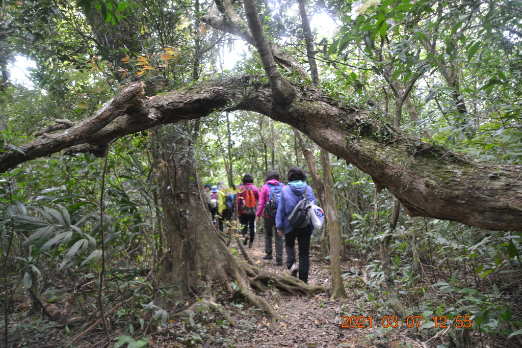 DSC_0666.JPG DSC_0666.JPG