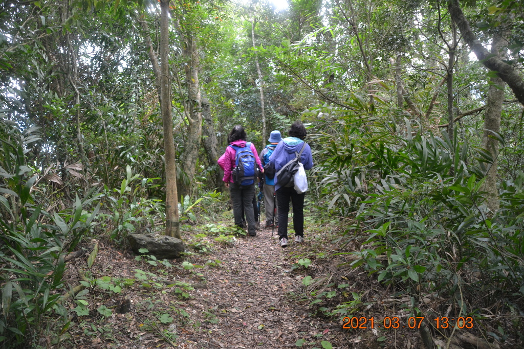 DSC_0670.JPG DSC_0670.JPG