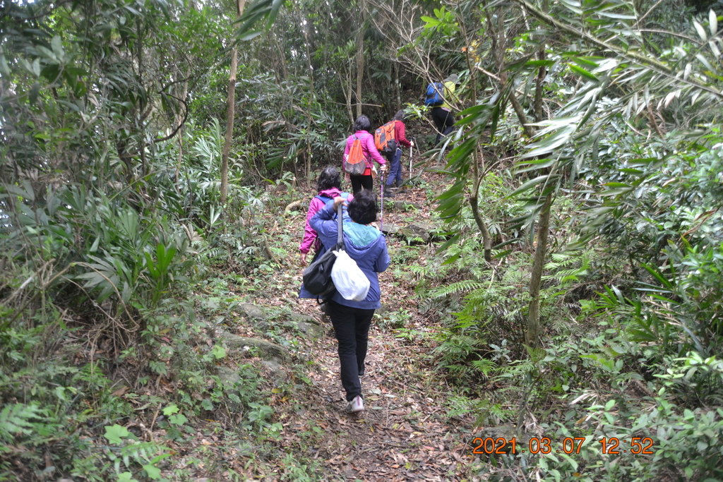DSC_0665.JPG DSC_0665.JPG