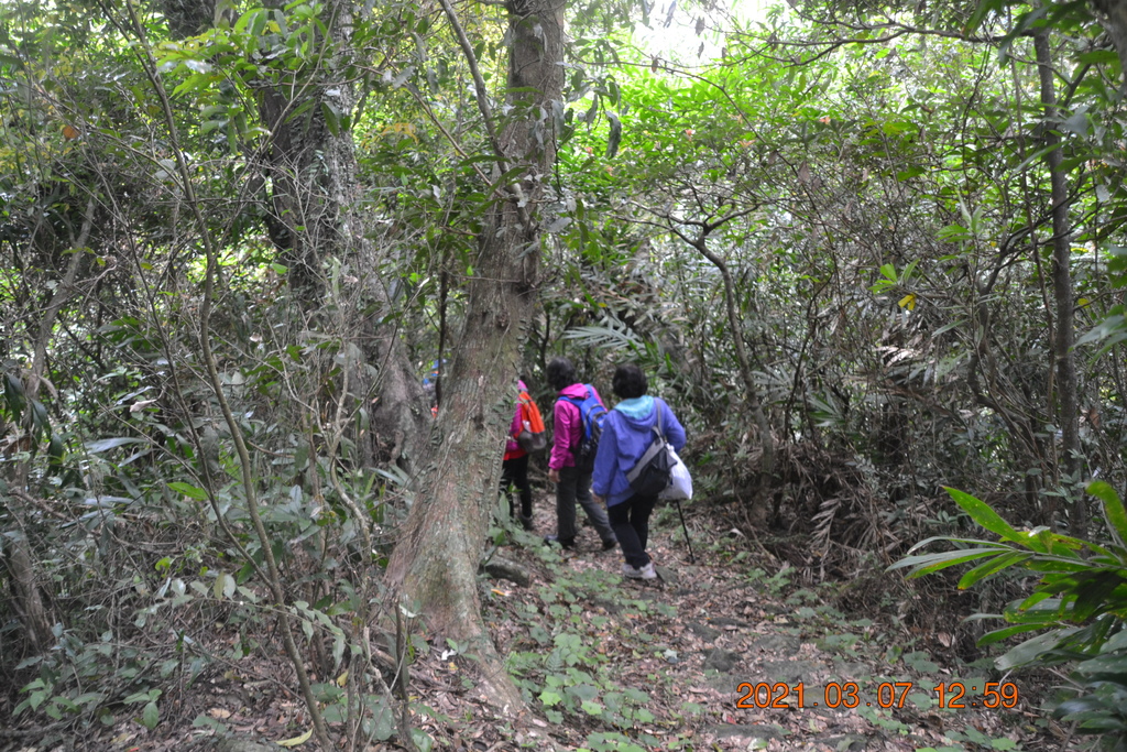 DSC_0667.JPG DSC_0667.JPG