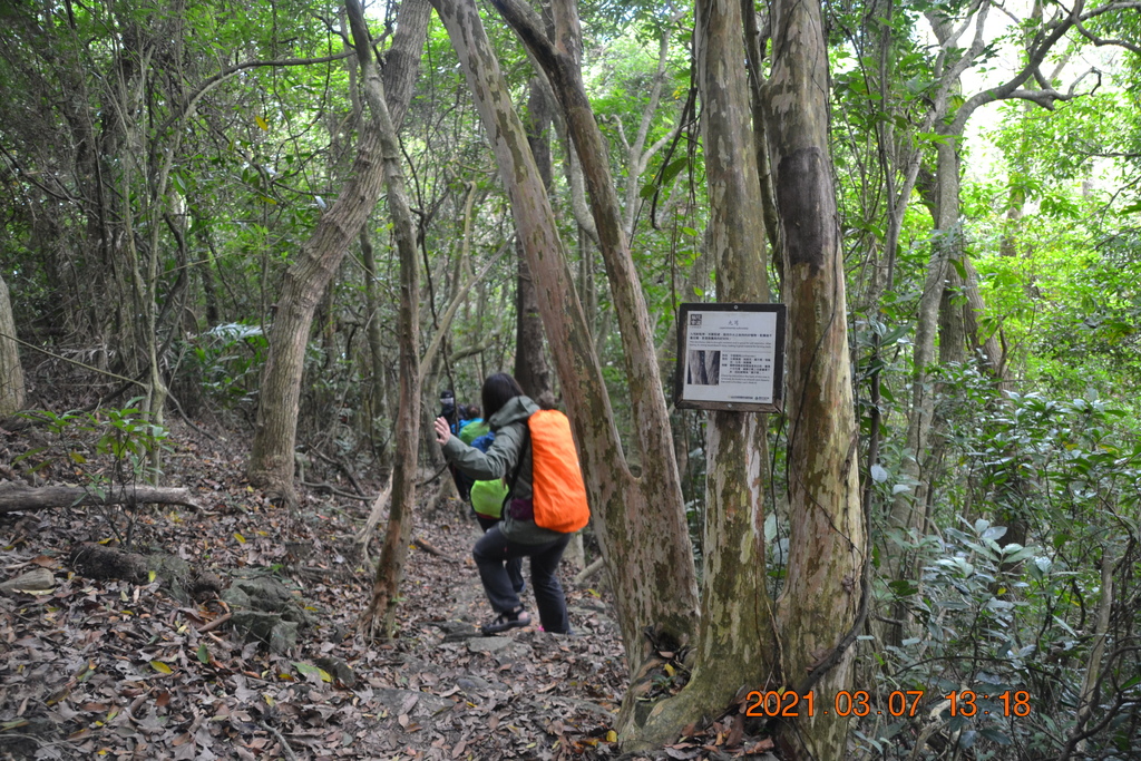 DSC_0671.JPG DSC_0671.JPG
