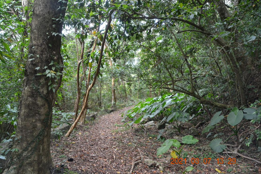 DSC_0688.JPG DSC_0688.JPG