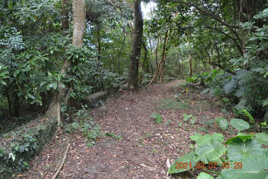 DSC_0687.JPG DSC_0687.JPG