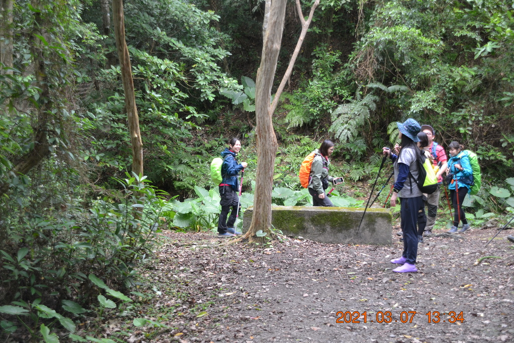 DSC_0708.JPG DSC_0708.JPG