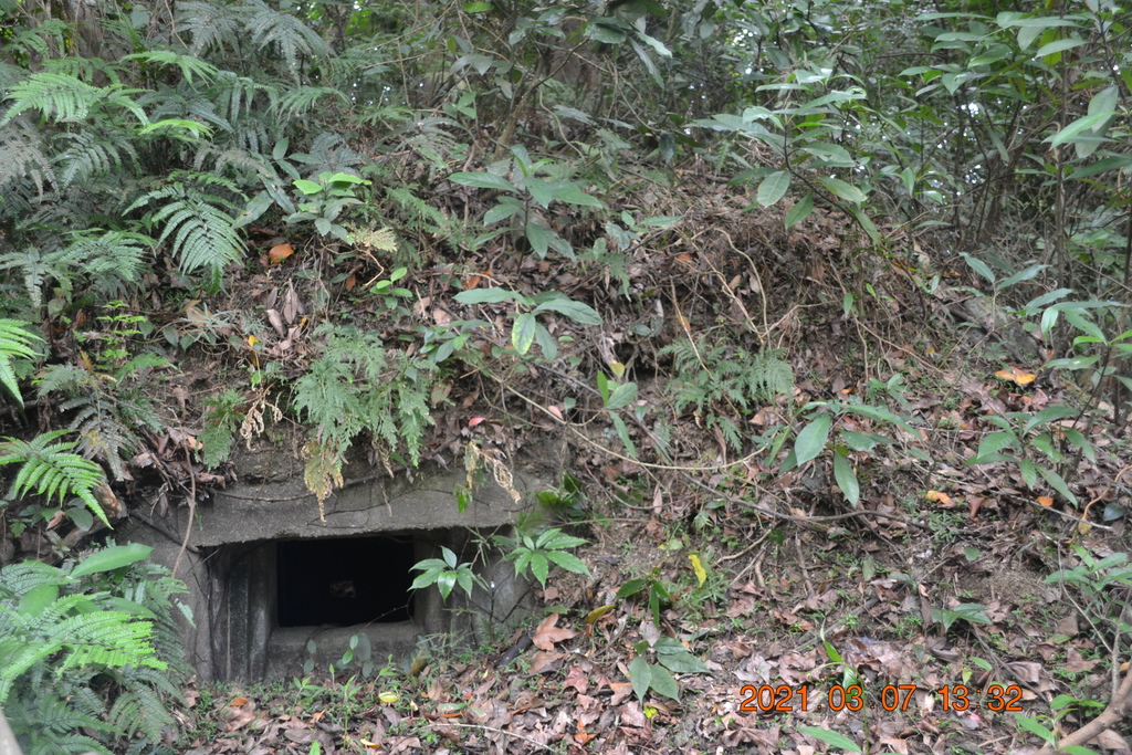 DSC_0699.JPG DSC_0699.JPG