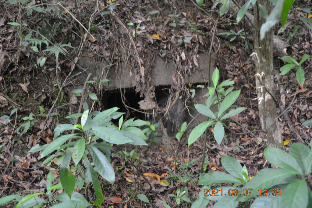 DSC_0709.JPG DSC_0709.JPG