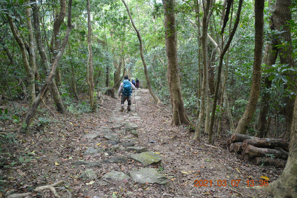 DSC_0712.JPG DSC_0712.JPG