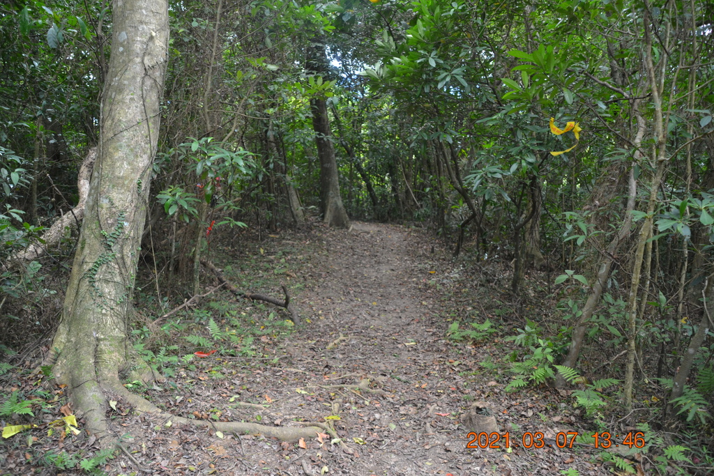 DSC_0721.JPG DSC_0721.JPG