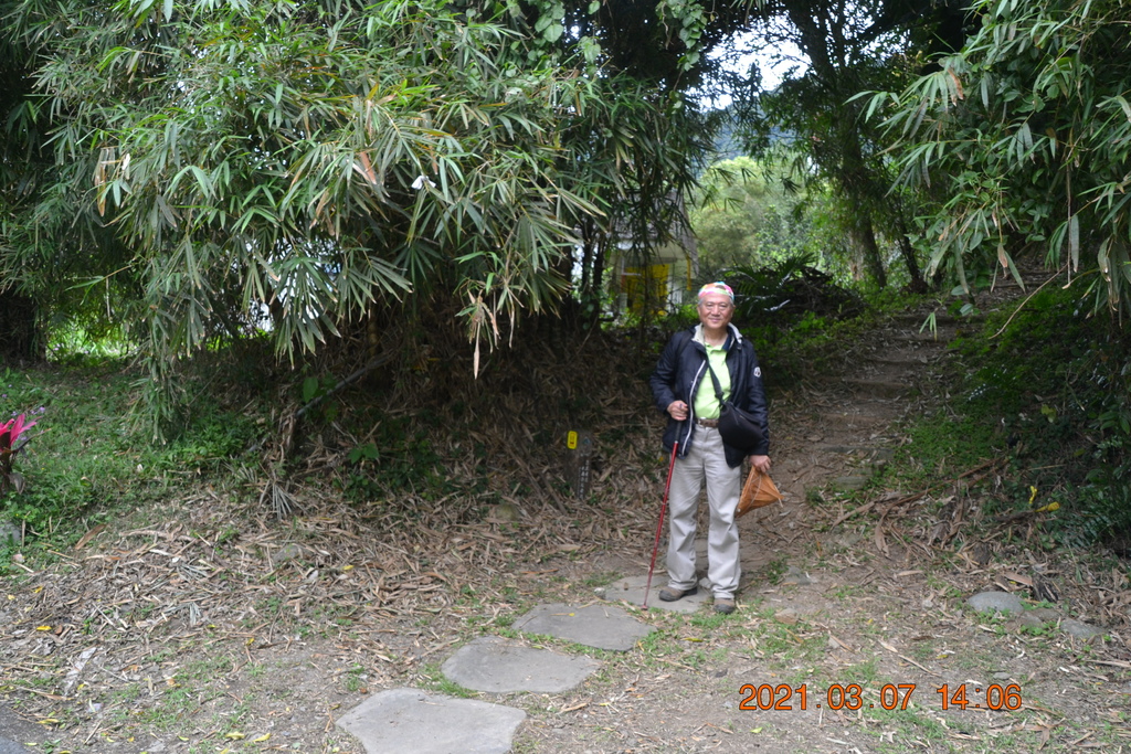 DSC_0737.JPG DSC_0737.JPG