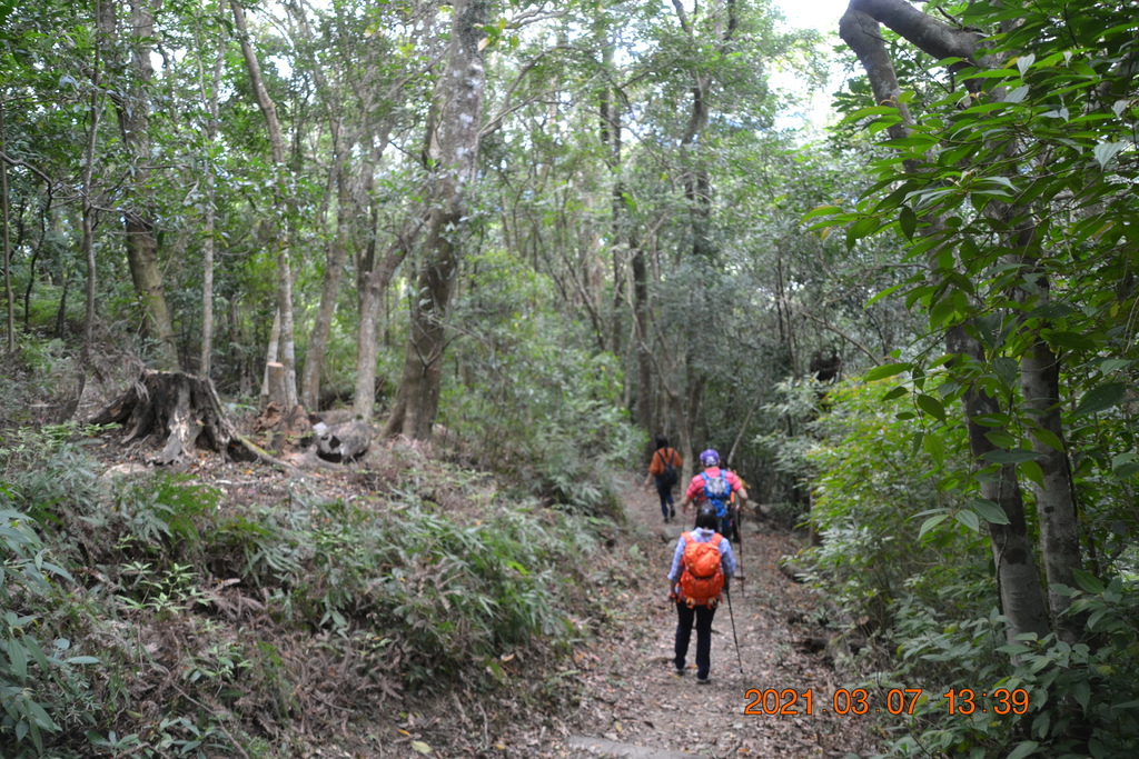 DSC_0717.JPG DSC_0717.JPG