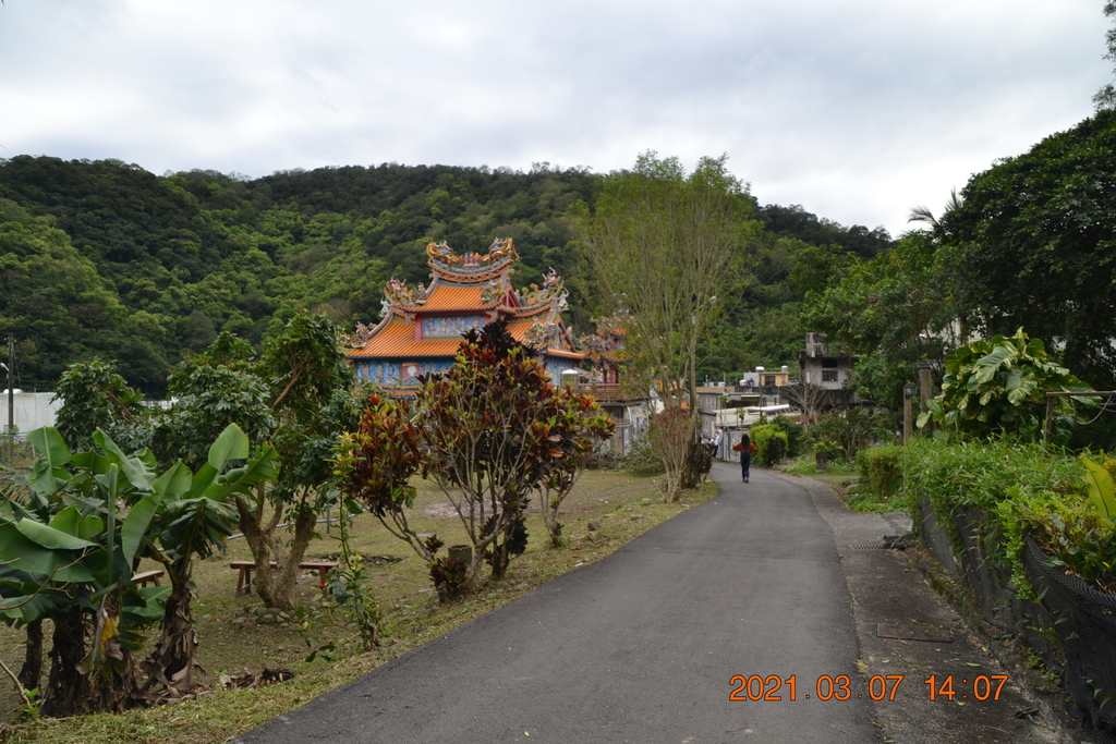 DSC_0739.JPG DSC_0739.JPG