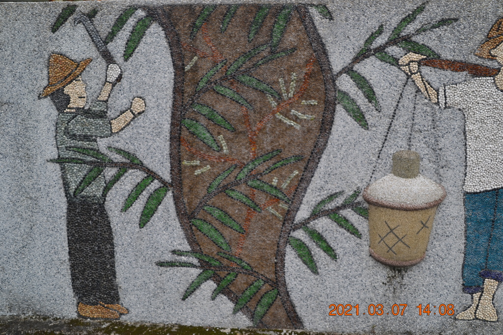 DSC_0742.JPG DSC_0742.JPG