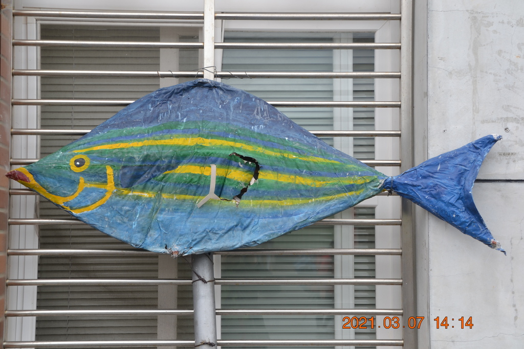 DSC_0762.JPG DSC_0762.JPG