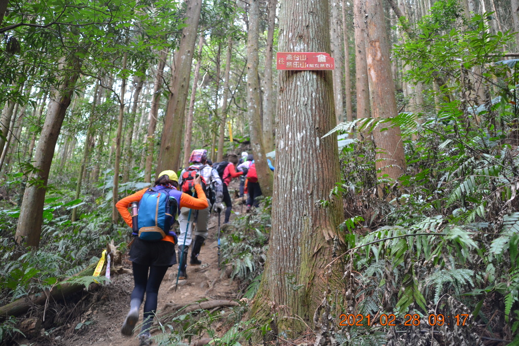 DSC_0012.JPG DSC_0012.JPG