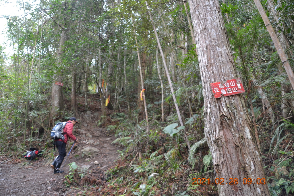 DSC_0007.JPG DSC_0007.JPG