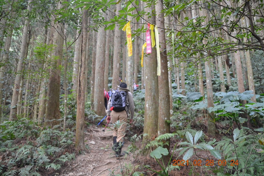 DSC_0015.JPG DSC_0015.JPG