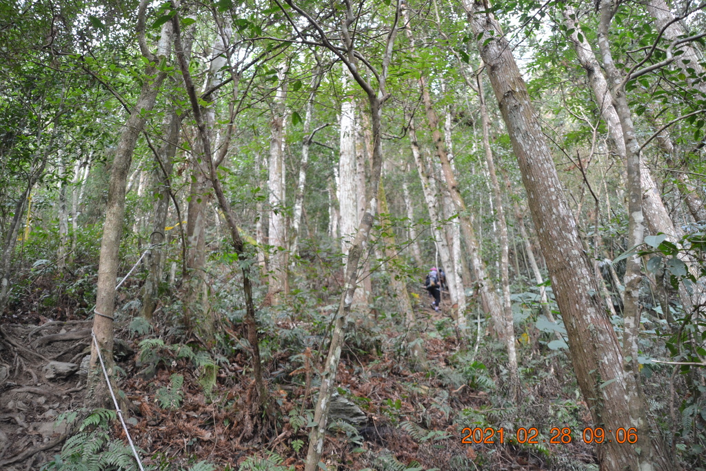 DSC_0008.JPG DSC_0008.JPG