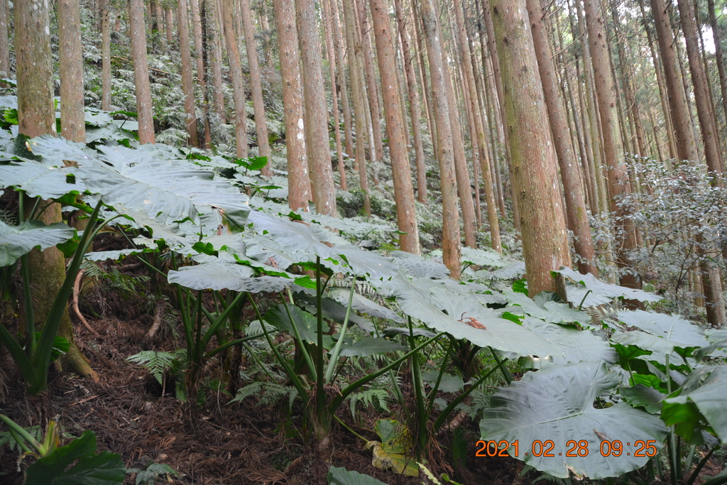 DSC_0016.JPG DSC_0016.JPG