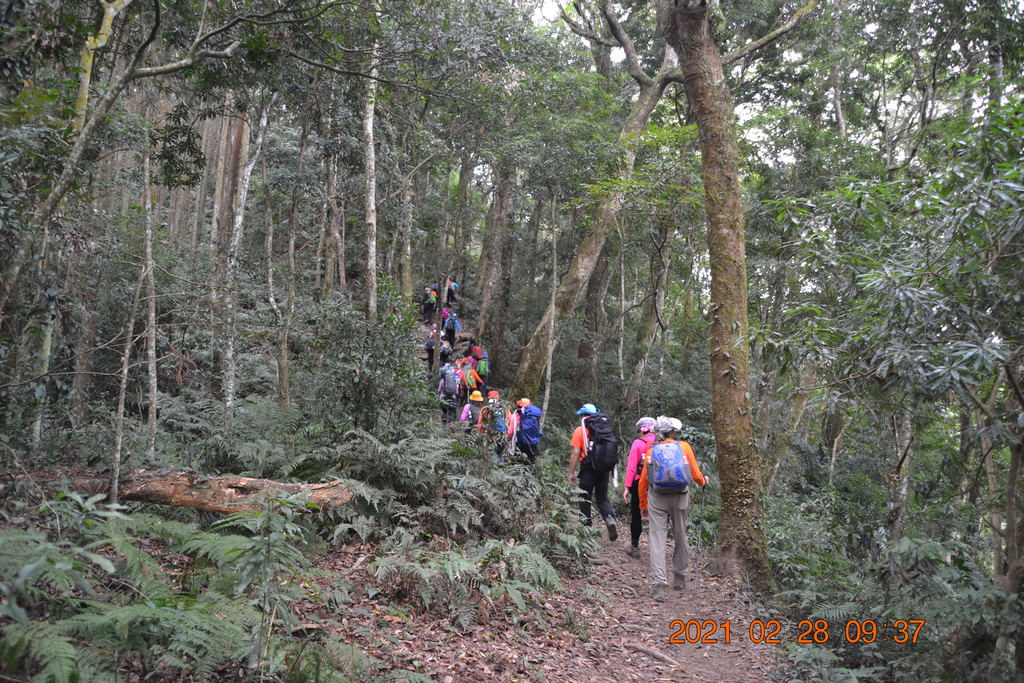 DSC_0019.JPG DSC_0019.JPG