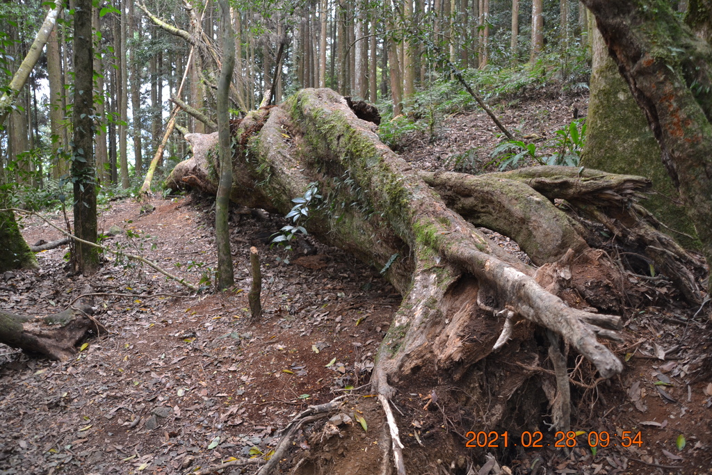 DSC_0026.JPG DSC_0026.JPG