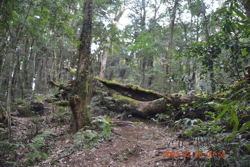 DSC_0028.JPG DSC_0028.JPG