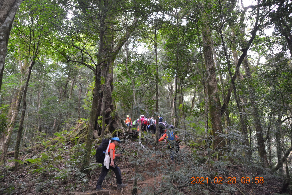 DSC_0029.JPG DSC_0029.JPG