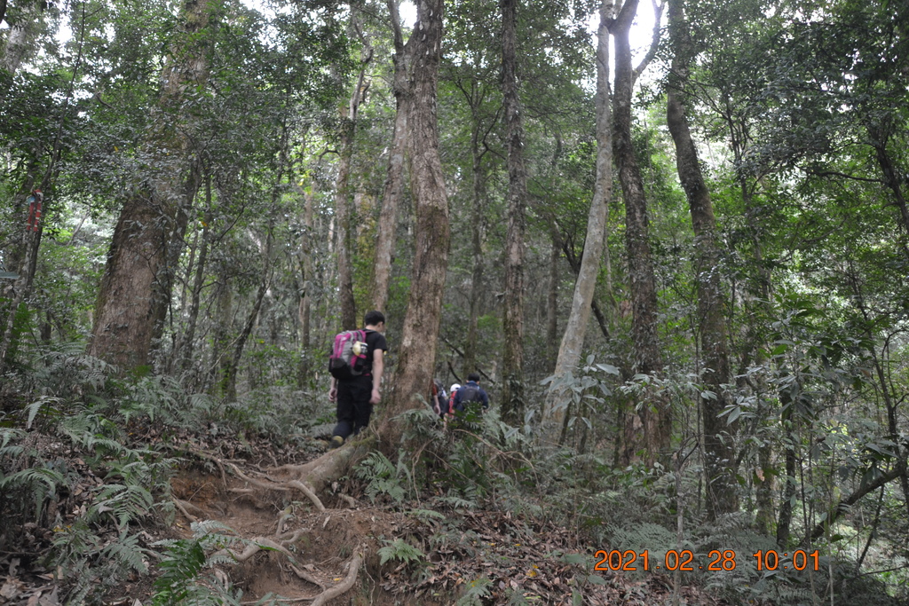 DSC_0034.JPG DSC_0034.JPG