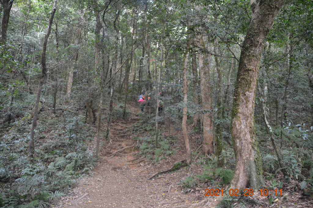 DSC_0036.JPG DSC_0036.JPG