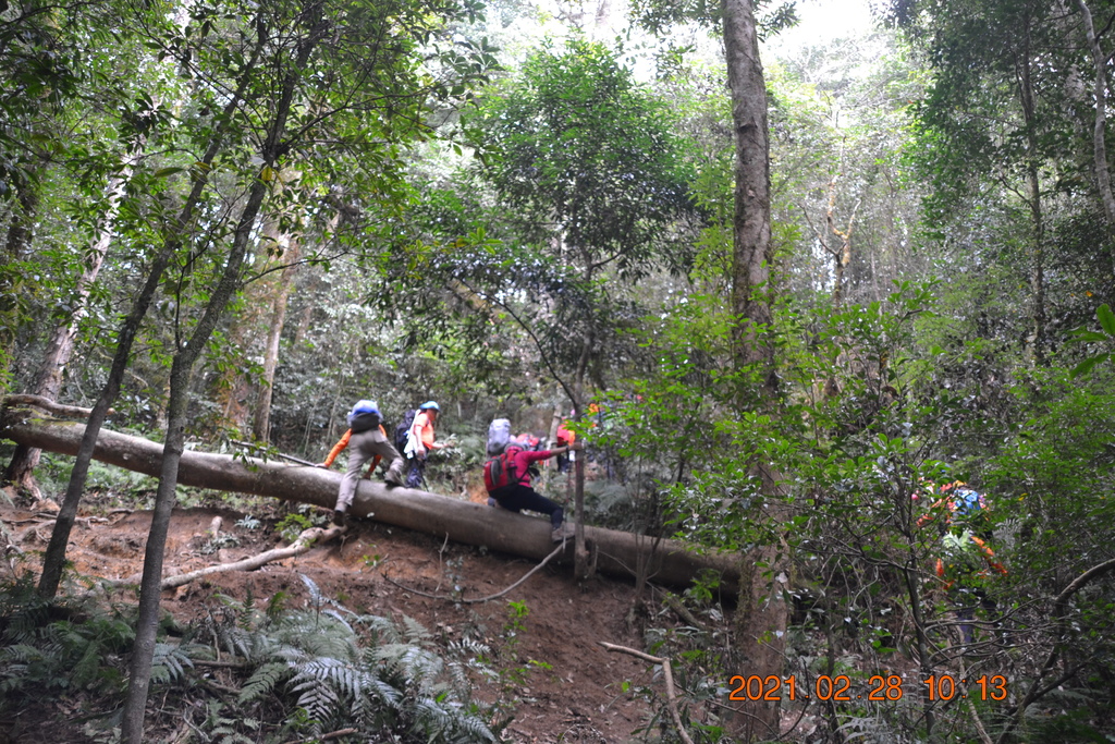 DSC_0037.JPG DSC_0037.JPG