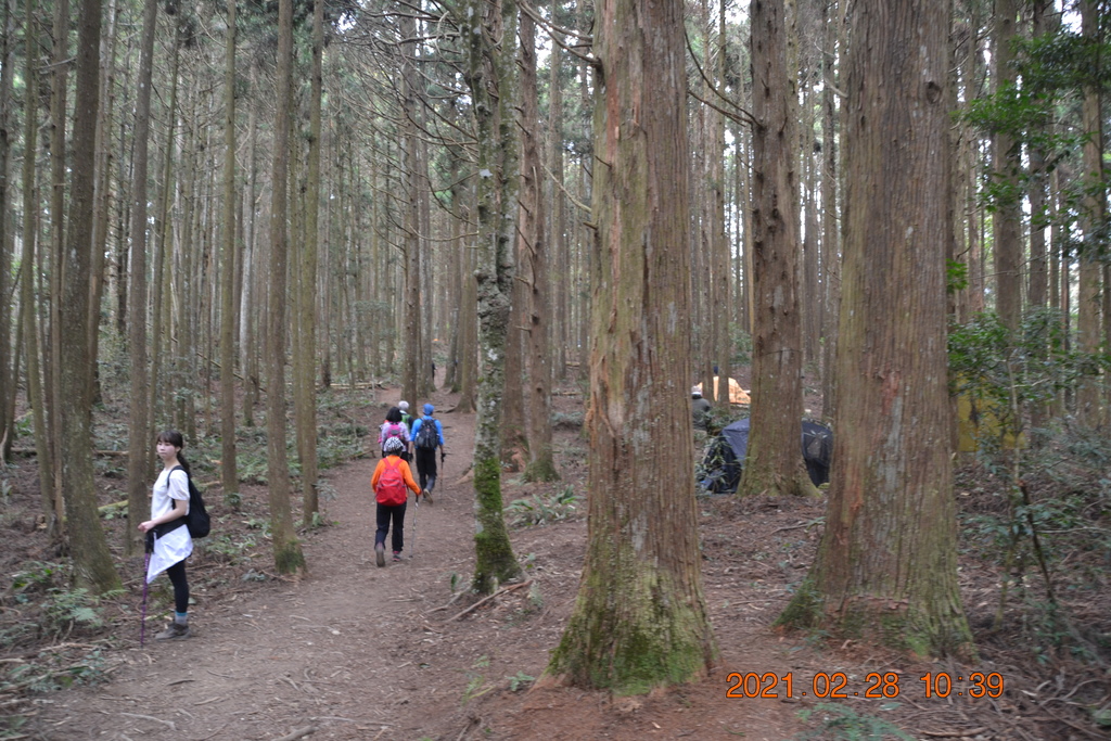 DSC_0058.JPG DSC_0058.JPG