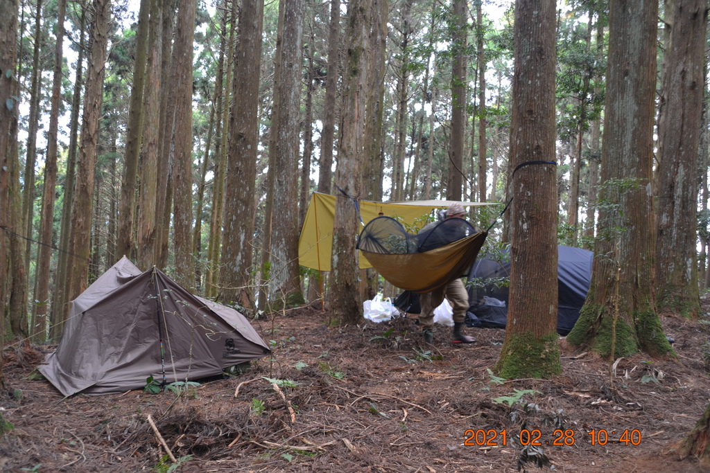 DSC_0060.JPG DSC_0060.JPG