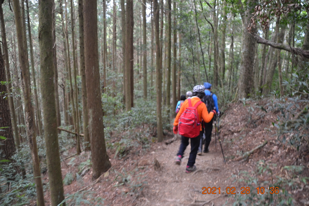DSC_0057.JPG DSC_0057.JPG