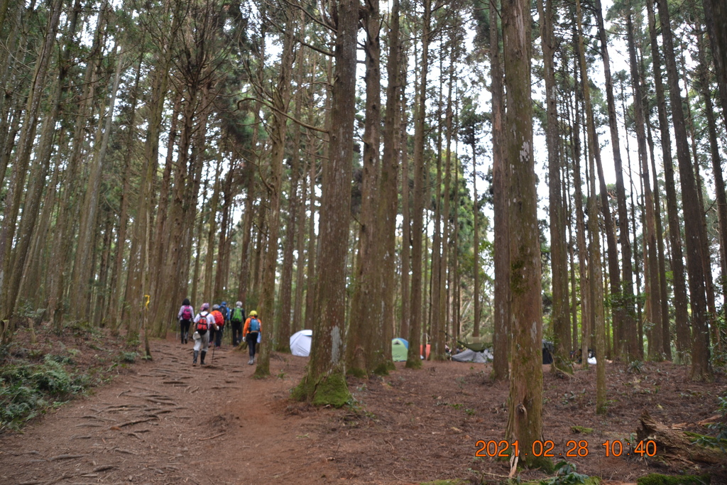 DSC_0062.JPG DSC_0062.JPG