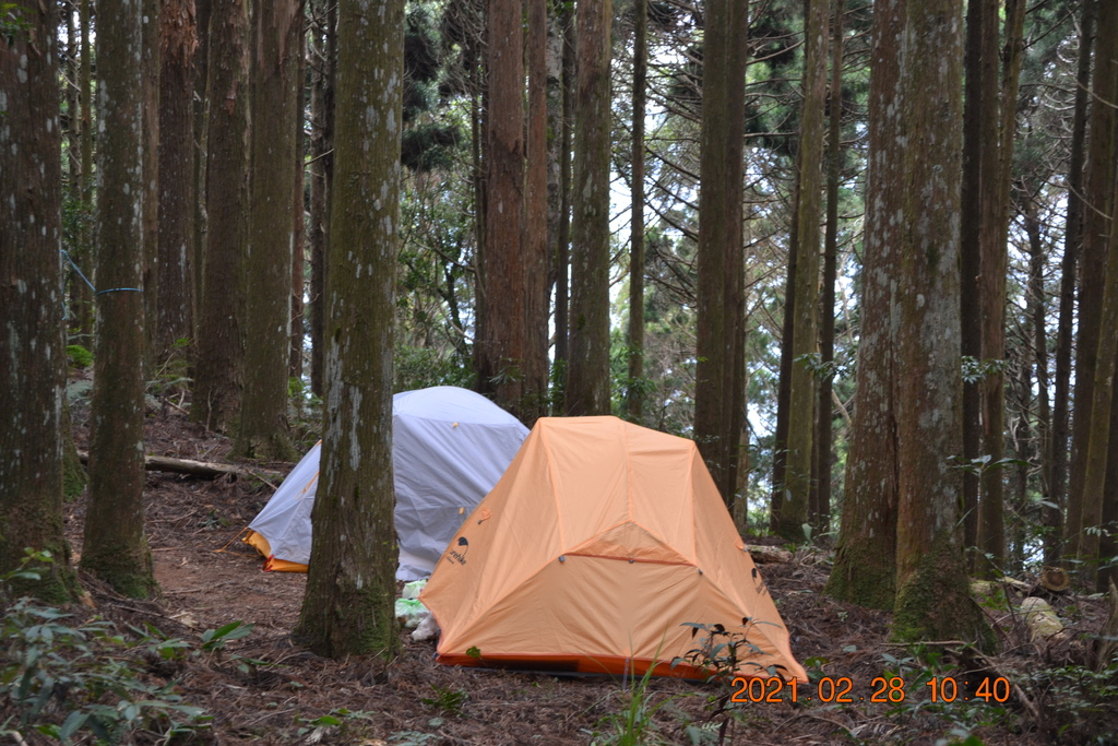 DSC_0061.JPG DSC_0061.JPG