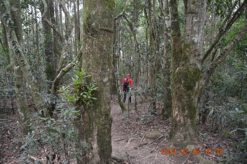 DSC_0056.JPG DSC_0056.JPG