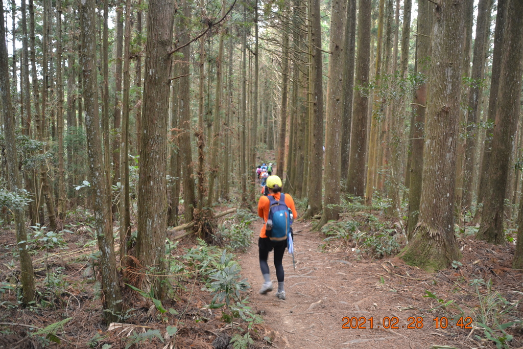 DSC_0067.JPG DSC_0067.JPG