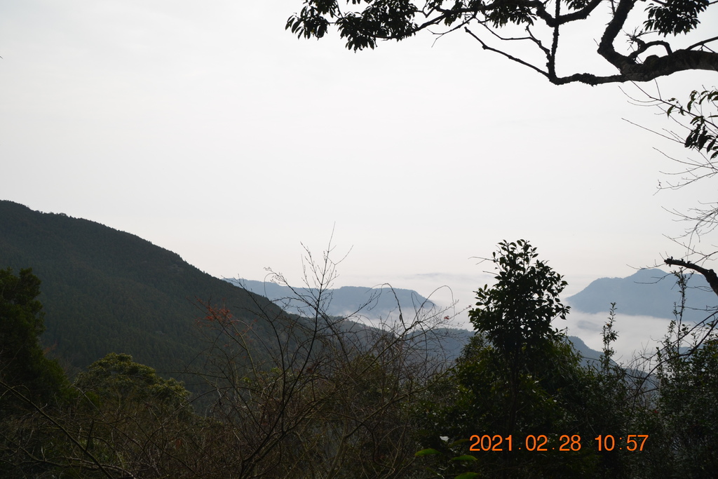 DSC_0069.JPG DSC_0069.JPG
